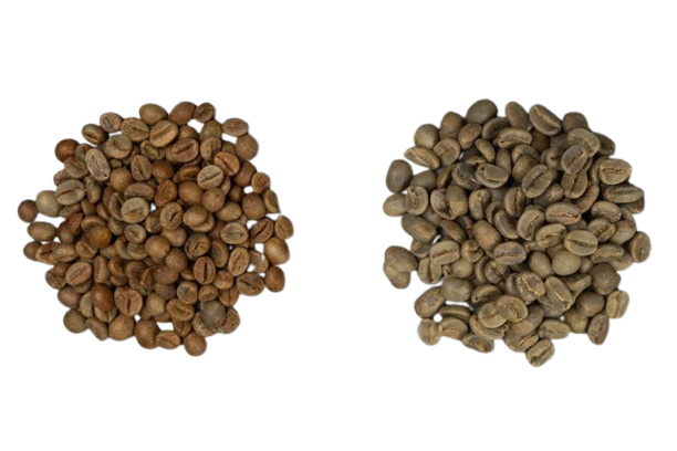 Agricultural%20Products